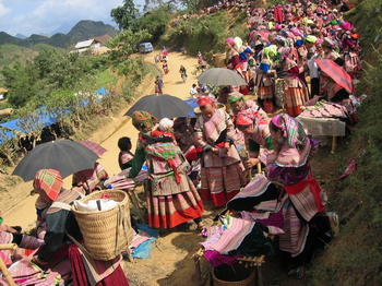 CanCau market